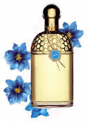 Aqua Allegoria Gentiana �� Guerlain (���� ��������� �������� �� ������)