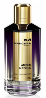 Amber Roses  Mancera (   )