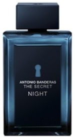 The Secret Night  Antonio Banderas (     )