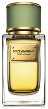 Dolce&Gabbana Velvet Bergamot  Dolce & Gabbana (     )