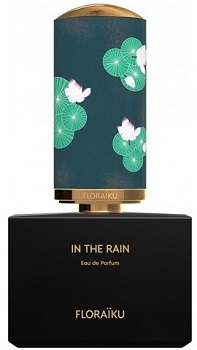 In The Rain 