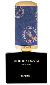 Sound of a Ricochet 