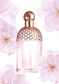 Aqua Allegoria Cherry Blossom  Guerlain (     )