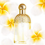 Aqua Allegoria Tiare-Mimosa  Guerlain (     )