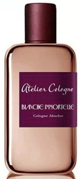 Blanche Immortelle