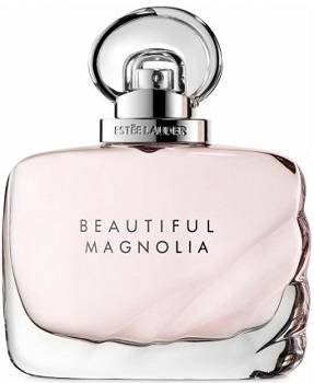 Beautiful Magnolia