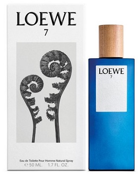 Loewe 7 pour homme